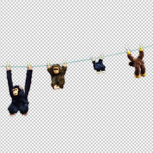 特肥女人一级黄色片
