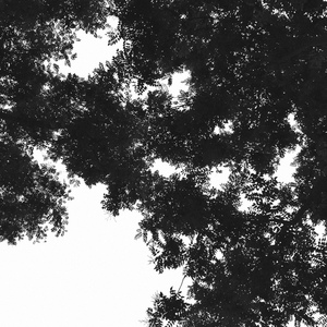 特肥女人一级黄色片
