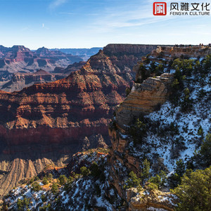 特肥女人一级黄色片
